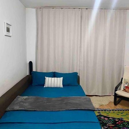 Central Apartment Muncii Area Netflix Bükreş Dış mekan fotoğraf